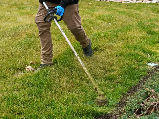 Custom Lawn & Landscape — photo from the business 7