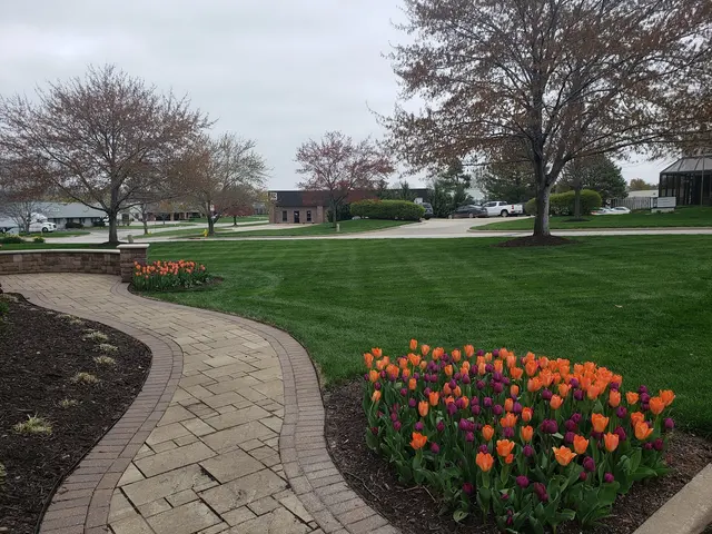 Aspen Lawn & Pest Control — customer photo 11