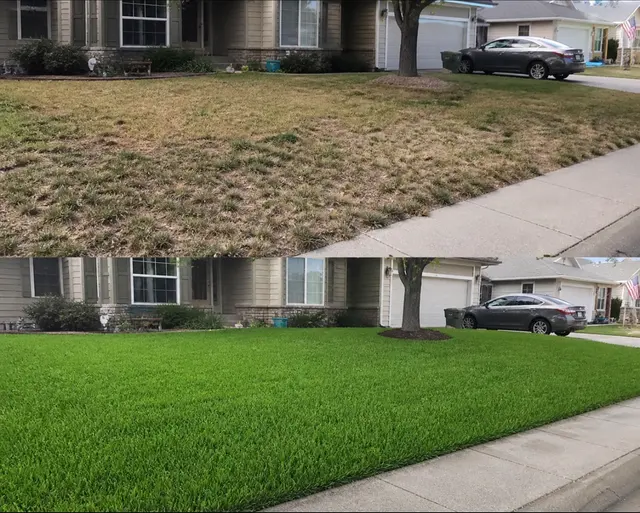 Aspen Lawn & Pest Control — customer photo 3
