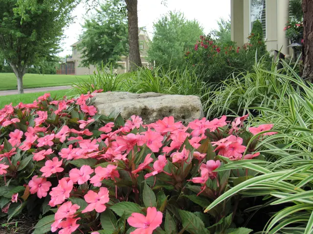 Aspen Lawn & Pest Control — photo from the business 8