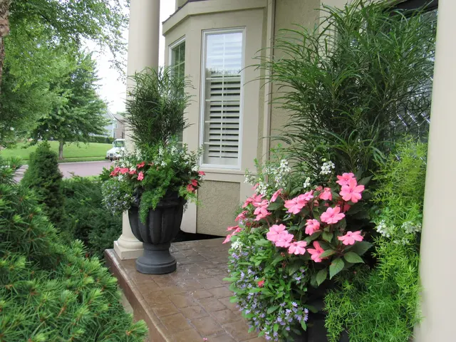 Aspen Lawn & Pest Control — photo from the business 5
