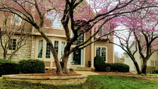 Gordon's Lawn & Landscape — photo from the business 1