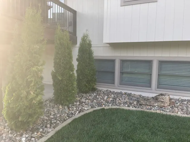 Customer photo of work by Lawn & Landscape Solutions, from Michelle Acton's review
