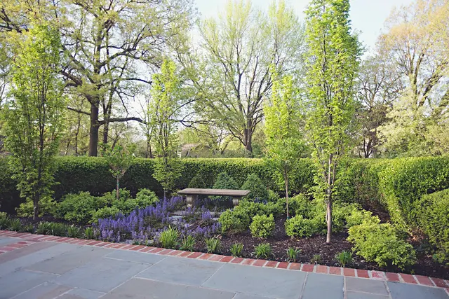 Lawn & Landscape Solutions — photo from the business 11