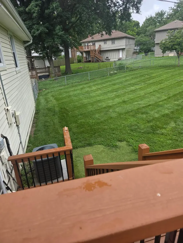 PureGreen Lawn Care — customer photo 10