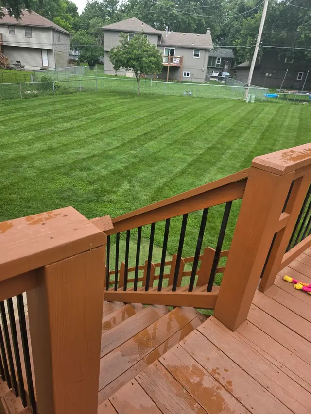 PureGreen Lawn Care — customer photo 12