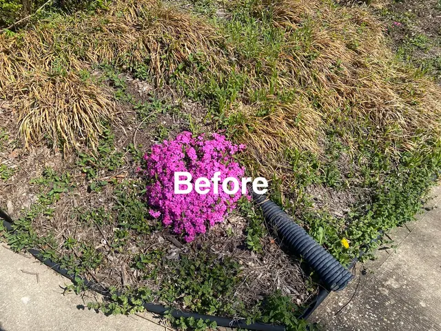 PureGreen Lawn Care — customer photo 6