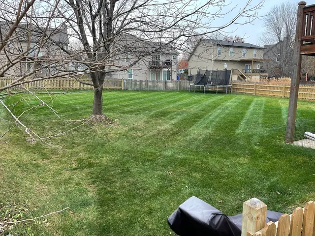 PureGreen Lawn Care — photo from the business 11