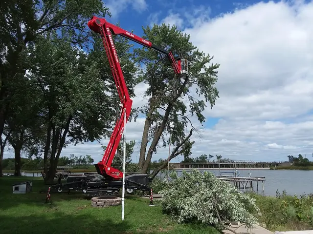 Wellnitz Tree Care — photo from the business 8