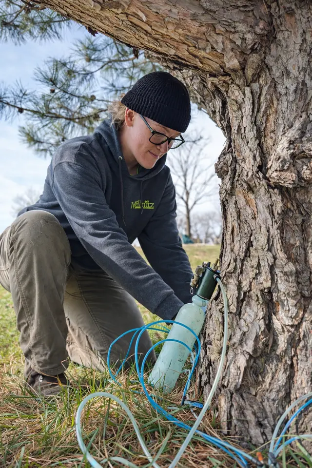 Wellnitz Tree Care — photo from the business 3