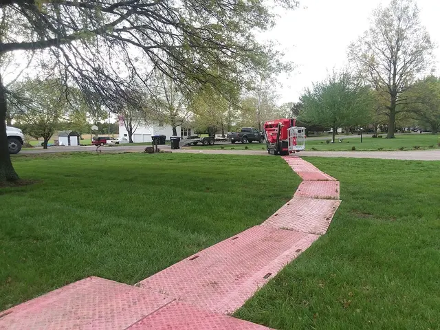 Wellnitz Tree Care — photo from the business 6