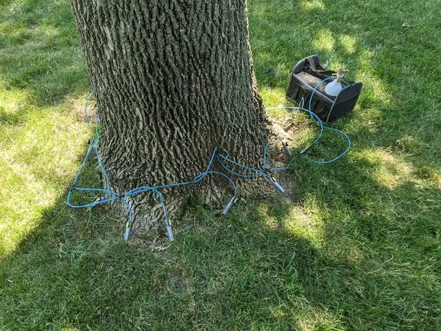 Wellnitz Tree Care — photo from the business 5