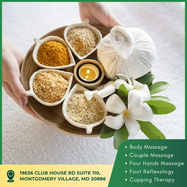 Revival Massage Therapy — photo from the business 11