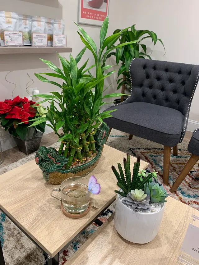 Good People Acupuncture & Wellness — customer photo 5
