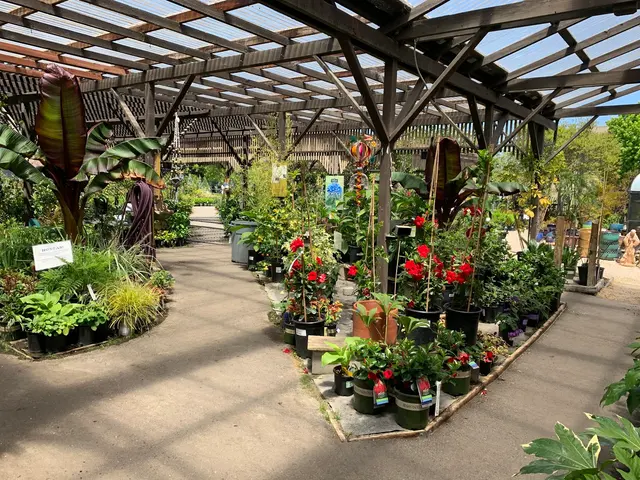 San Lorenzo Garden Center — customer photo 2