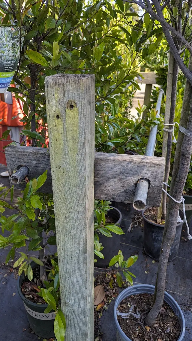 San Lorenzo Garden Center — customer photo 9