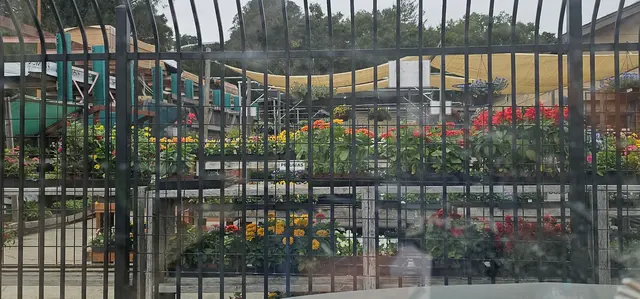 San Lorenzo Garden Center — customer photo 10