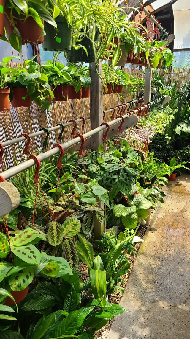 San Lorenzo Garden Center — customer photo 5