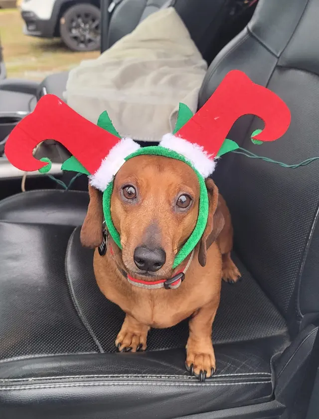 Grand Prairie Veterinary Services — photo from the business 4