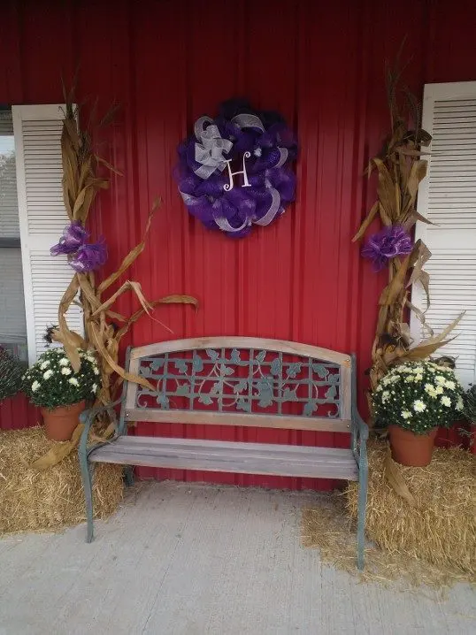 Grand Prairie Veterinary Services — photo from the business 12