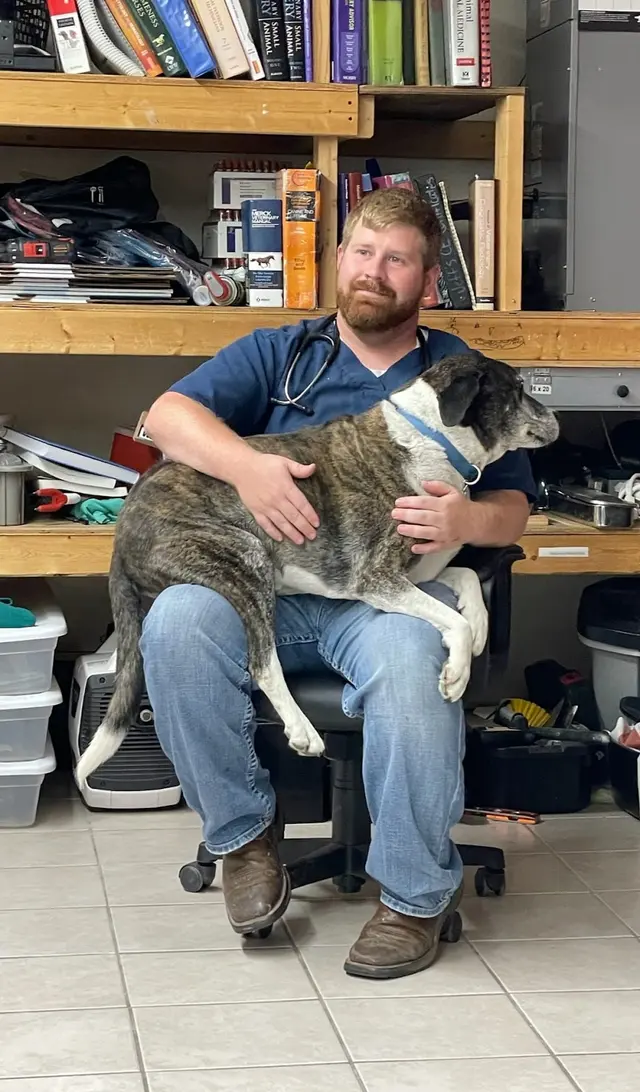 Grand Prairie Veterinary Services — photo from the business 1