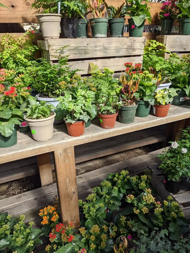 San Lorenzo Lumber and Home Centers — customer photo 4