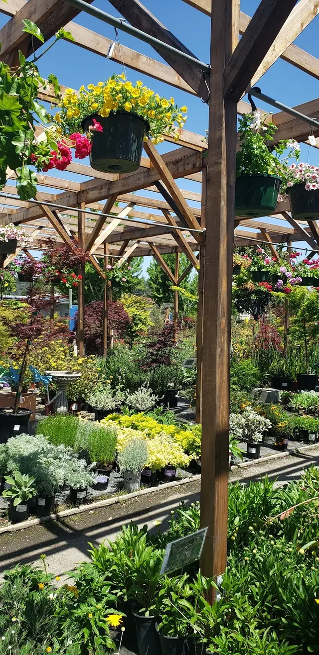 San Lorenzo Lumber and Home Centers — customer photo 12