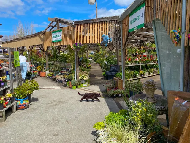 San Lorenzo Lumber and Home Centers — customer photo 5