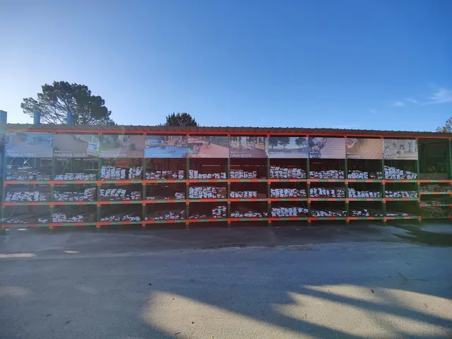 San Lorenzo Lumber and Home Centers — customer photo 6