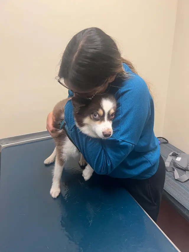Eye Care for Animals - Lee's Summit — customer photo 7