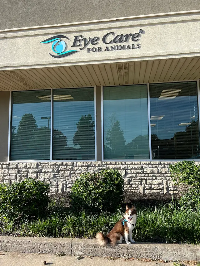 Eye Care for Animals - Lee's Summit — customer photo 6