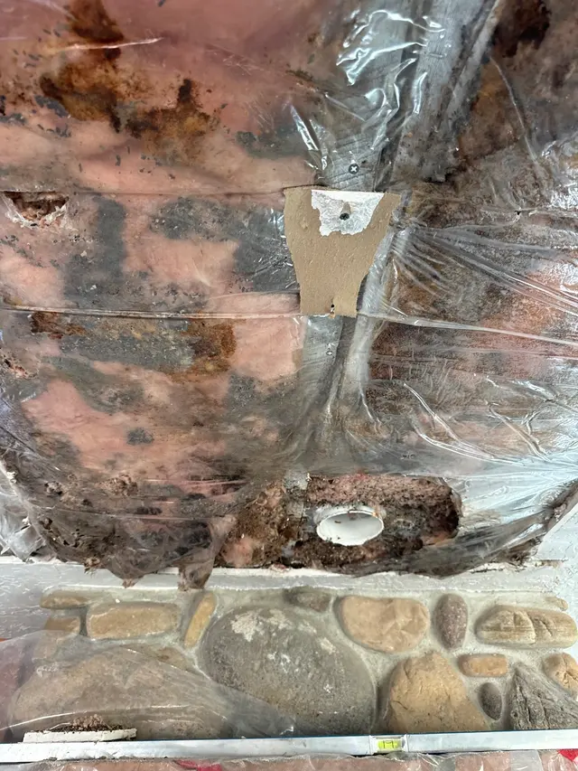 Customer photo from Justin's review