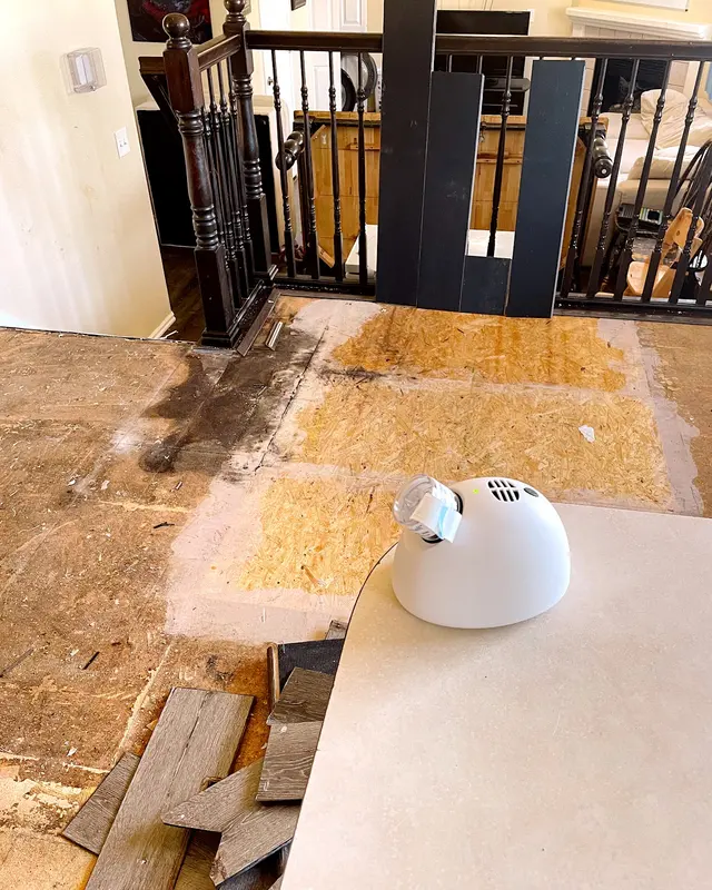 Mold Detection Pros — photo from the business 2
