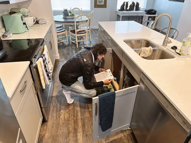 Mold Detection Pros — photo from the business 4