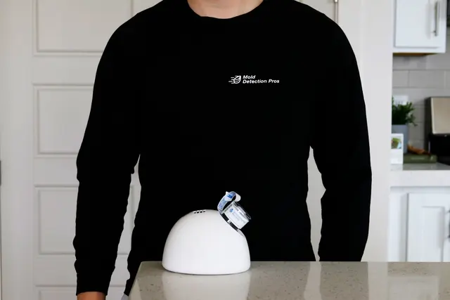 Mold Detection Pros — photo from the business 11