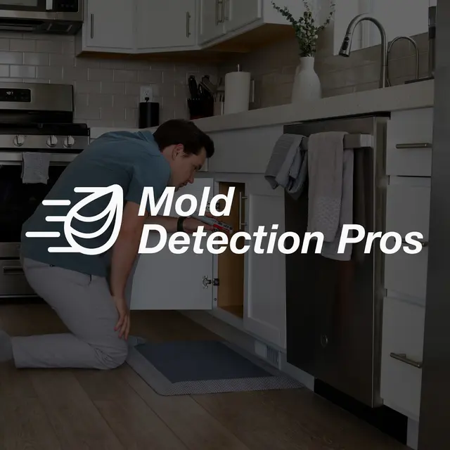 Mold Detection Pros — photo from the business 1