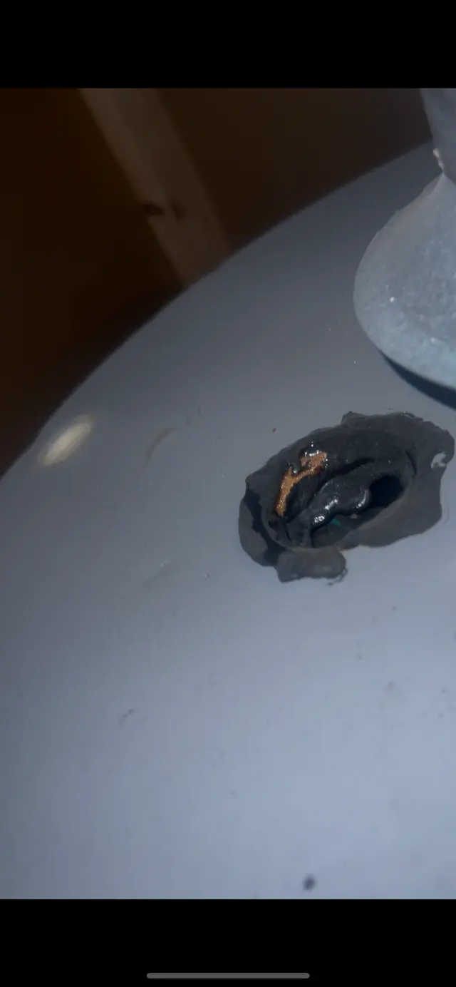 Diamond Perfection Home & Property Inspections — customer photo 12