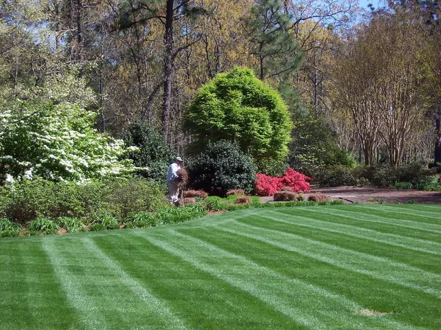 The Southern Landscape Group — photo from the business 5