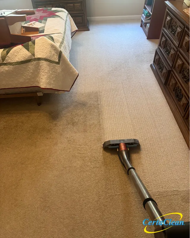 CertaClean — photo from the business 7