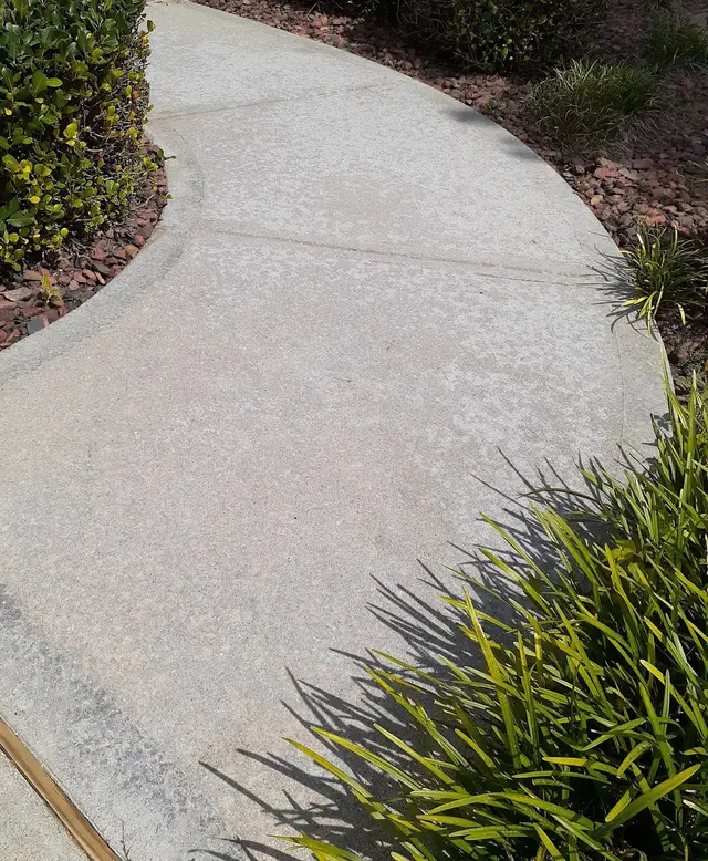 Customer photo from C.'s review