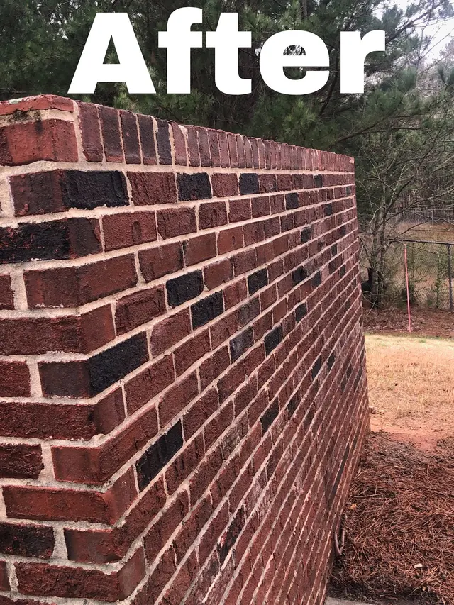 Spotless Pressure Washing, Carpet Cleaning, & Tile & Grout Cleaning — photo from the business 8