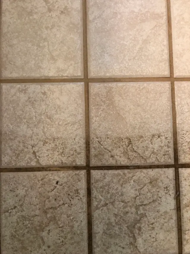 Spotless Pressure Washing, Carpet Cleaning, & Tile & Grout Cleaning — photo from the business 5