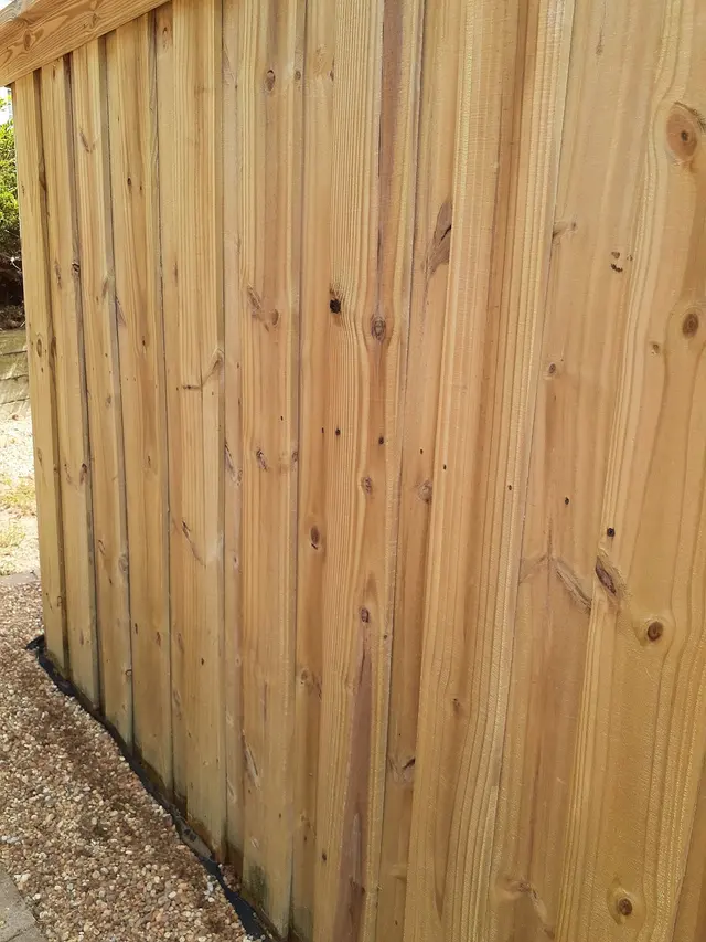 Customer photo from C.'s review