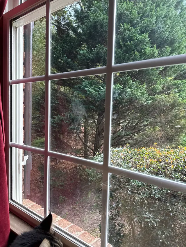 Rescue My Time Cleaning Service — customer photo 8