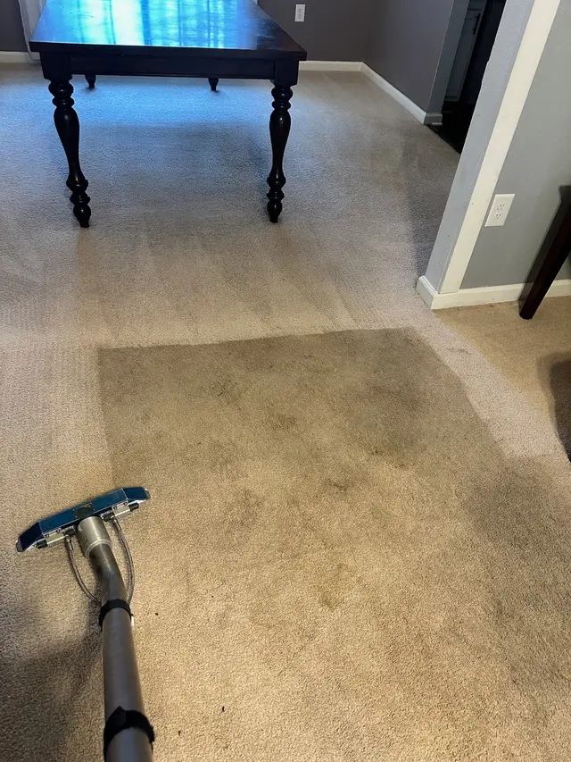 ServicePro Carpet Cleaning — photo from the business 3
