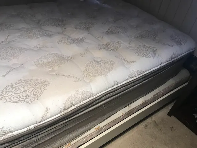ServicePro Carpet Cleaning — photo from the business 5
