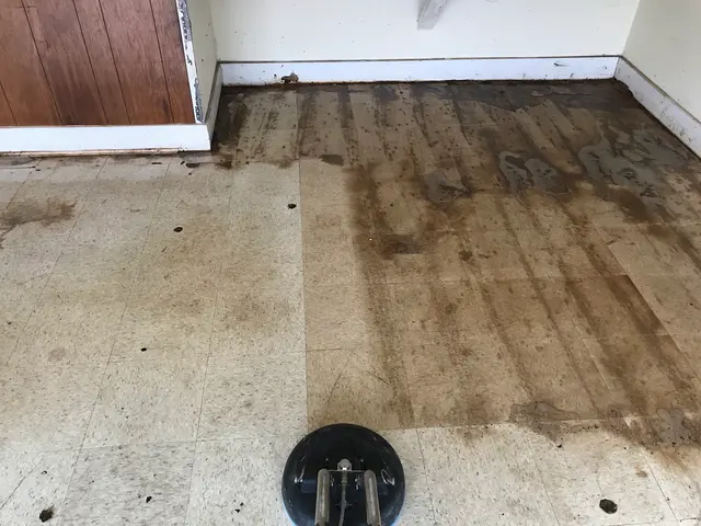 ServicePro Carpet Cleaning — photo from the business 4