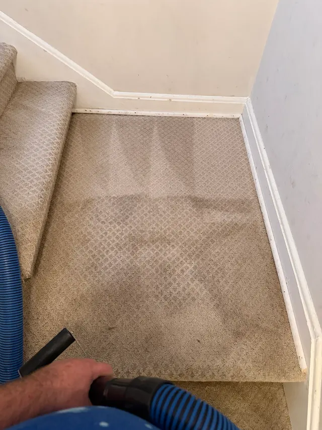 Customer photo from Master's review