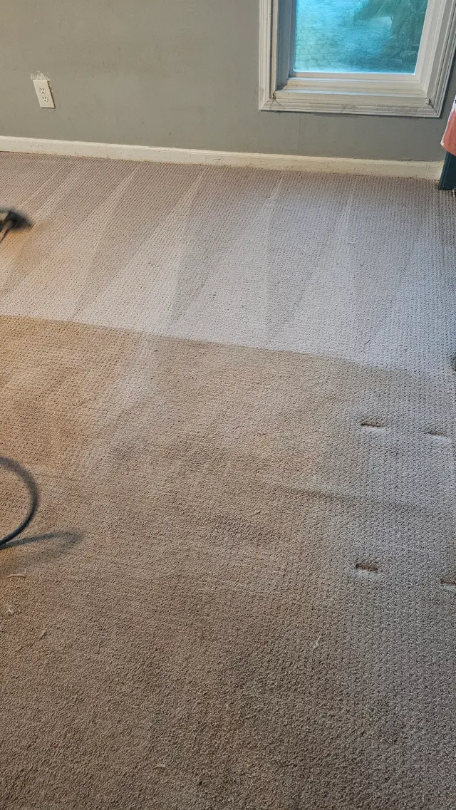 ServicePro Carpet Cleaning — customer photo 2