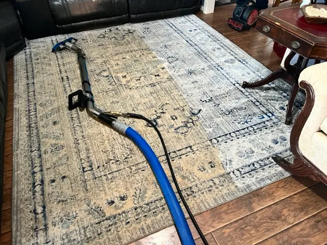 ServicePro Carpet Cleaning — photo from the business 12